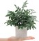 2 Pack Mini Artificial Herb Potted Plants – Faux Eucalyptus Greenery in Gray Pots for Mother’s Day Card Making, Home Bathroom, Farmhouse & Desk Decor